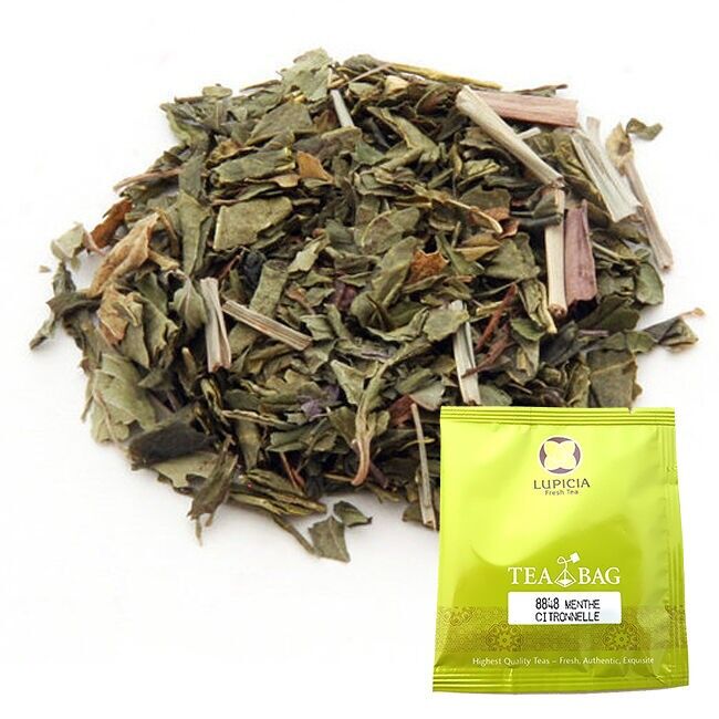 LEMONGRASS MINT - Scatola da 60 bustine di tè - Tè verde alla menta