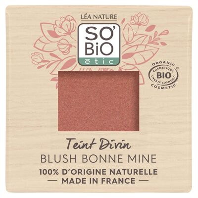 Blush bonne mine, Teint Divin