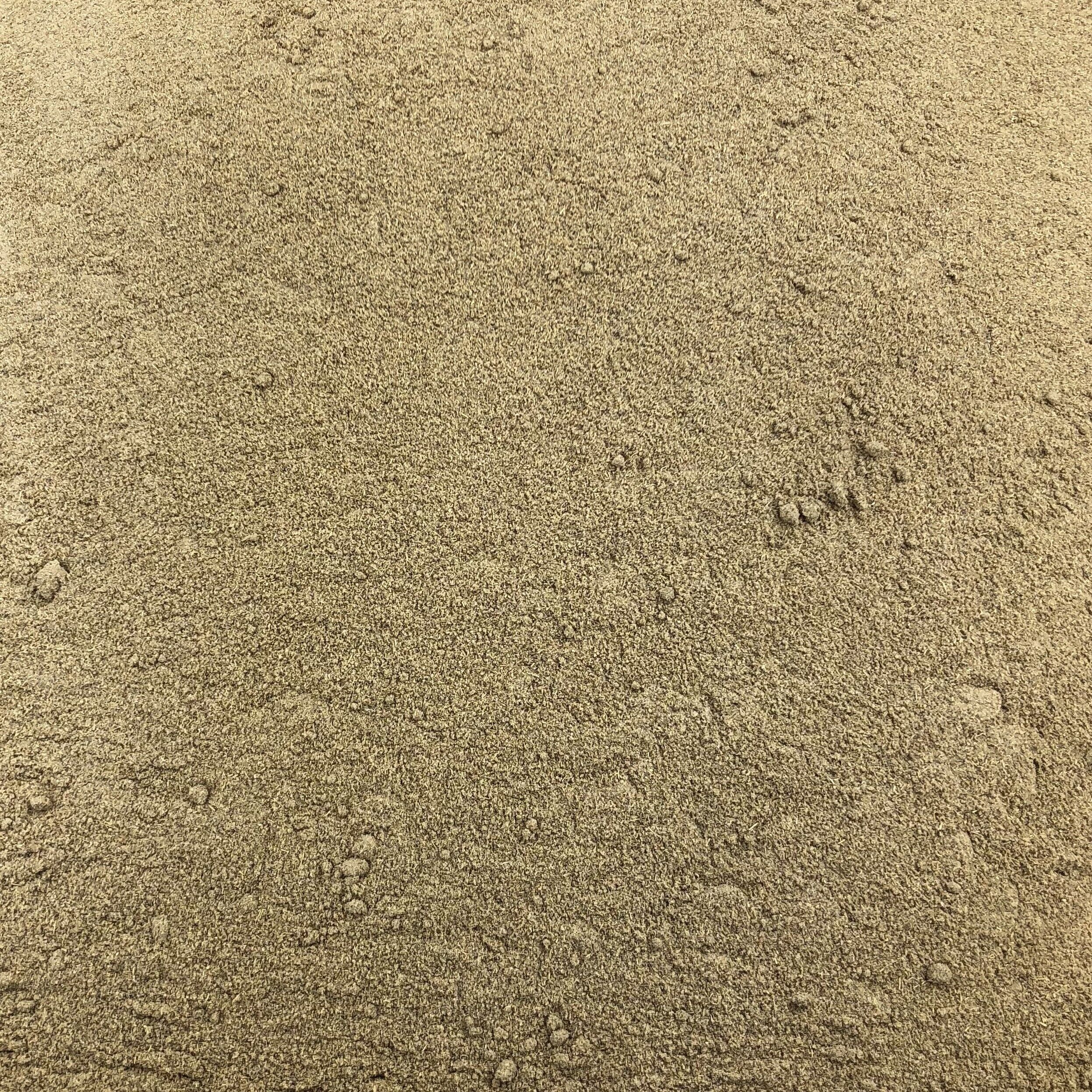 Galanga Polvere Biologica Sfusa - 125g