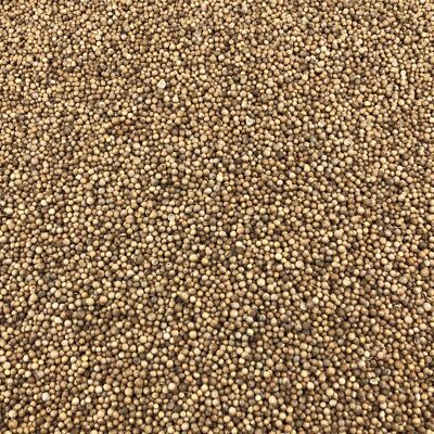 Coriander Seeds Organic Bulk - 125g