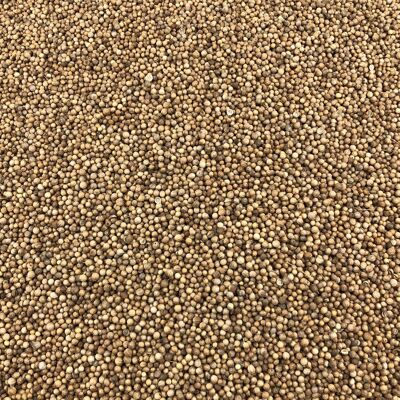 Coriander Seeds Organic Bulk - 500g