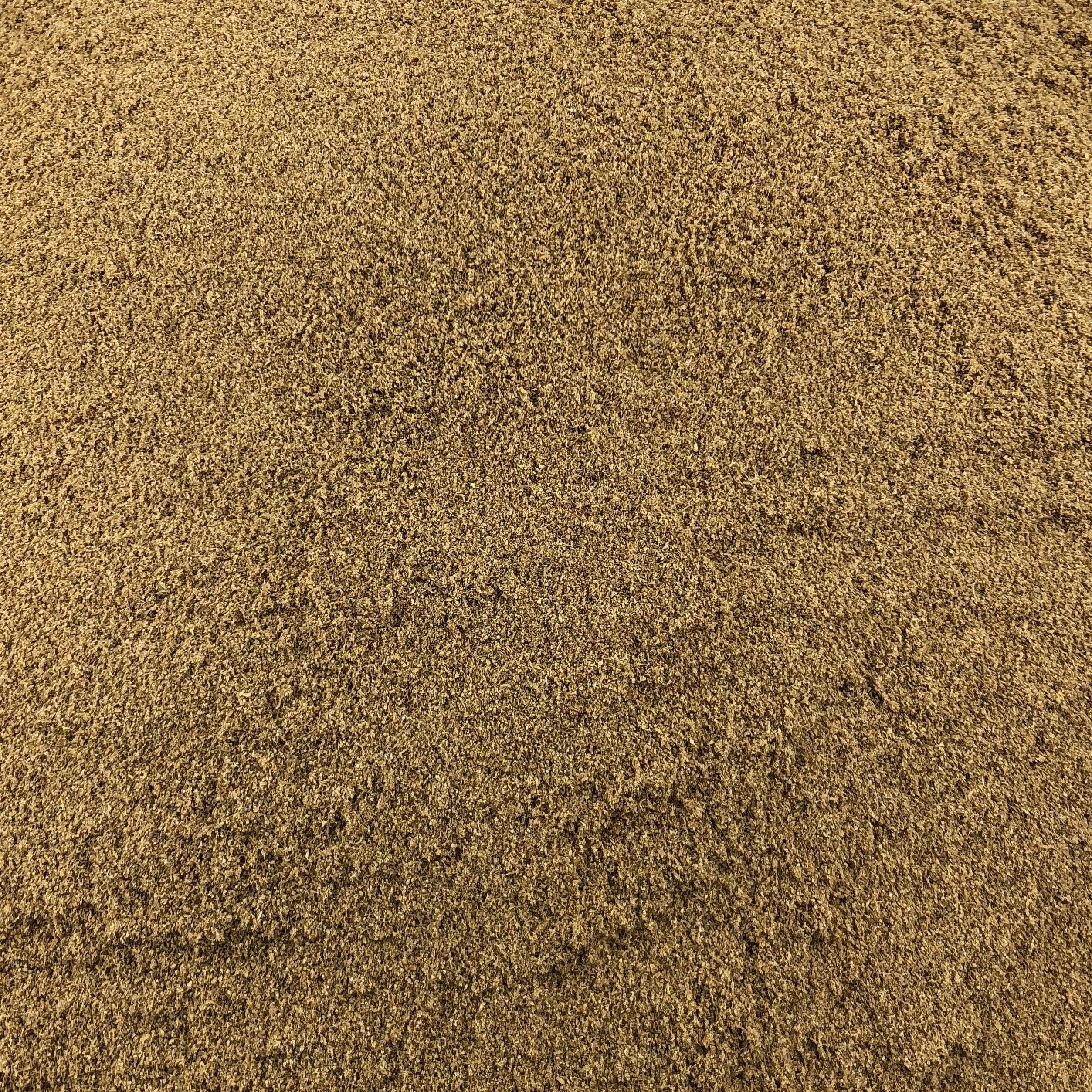 Koriander Bio-Pulver in Bulk - 125g