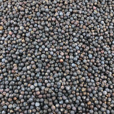 Organic Juniper Berries in Bulk - 250g