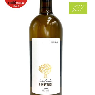 Vino Blanco - 2023 - 75 cl - La Didascalie - AOP Luberon, Valle del Ródano, Francia