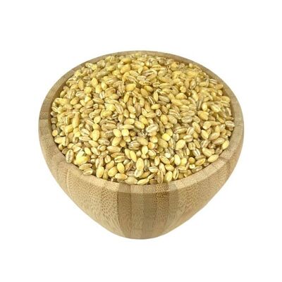 Organic Barley in Bulk - 250g