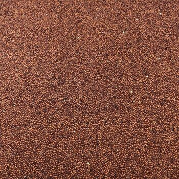 Quinoa Rouge Bio en Vrac - 250g 2