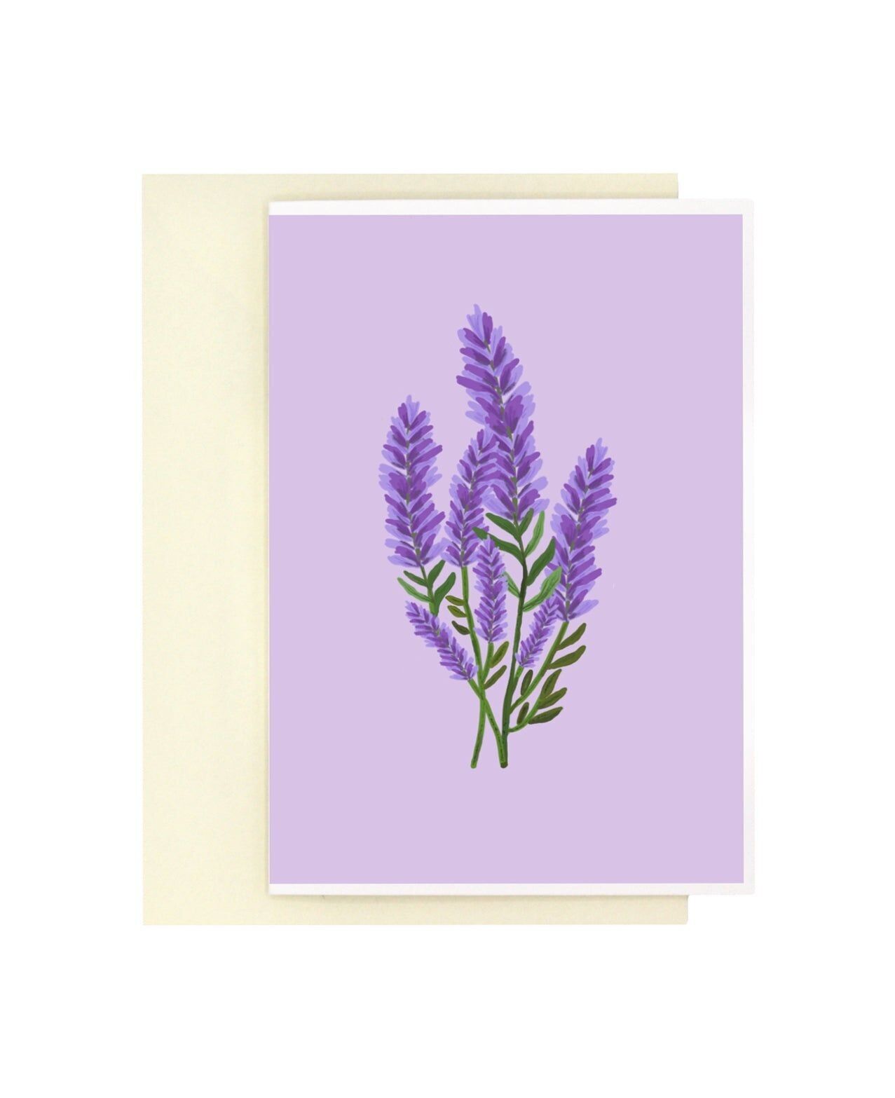 Blühender Lavendel | Bloom Serie