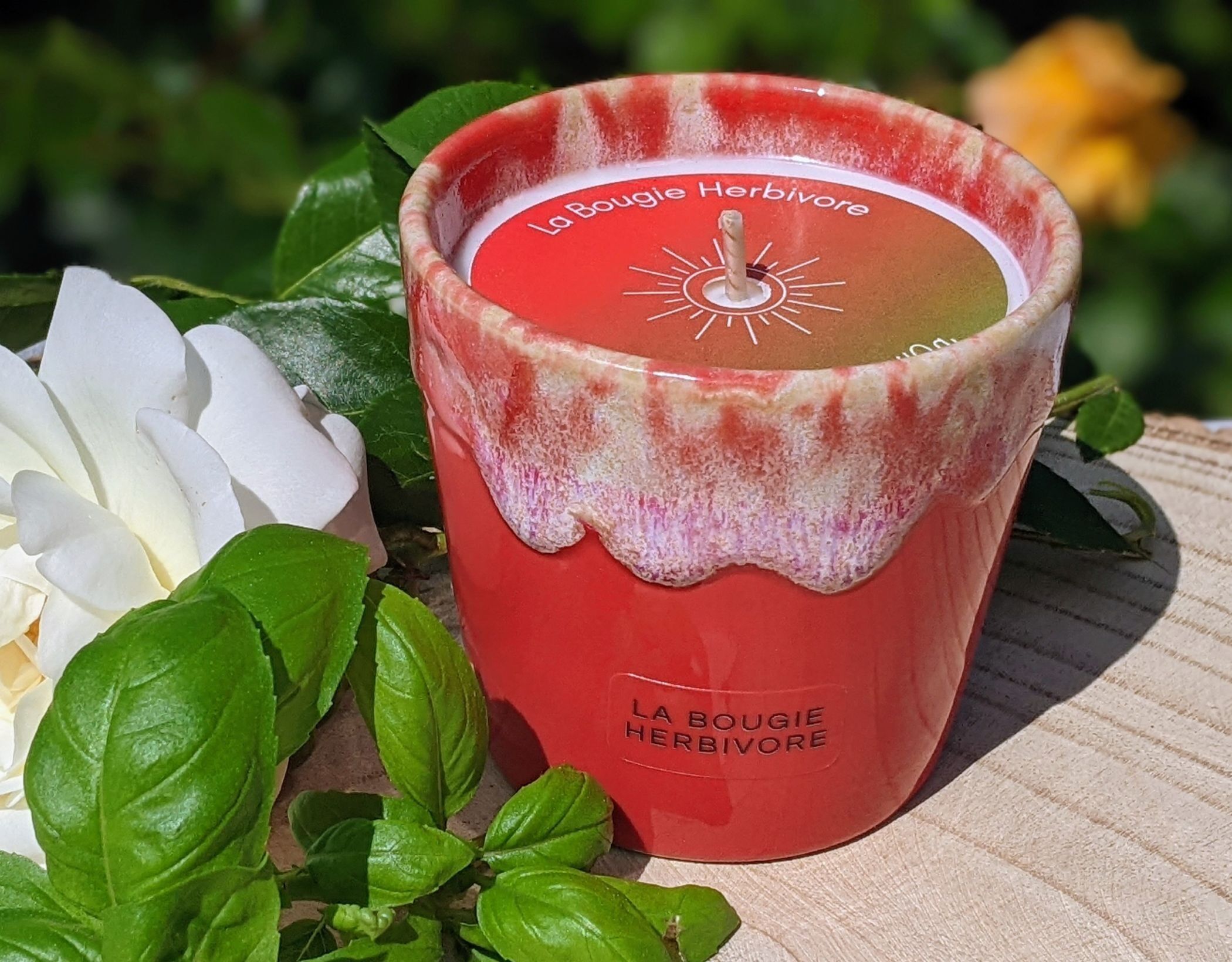 Duftkerze Tomaten-Basilikum – Roter Steinguttopf – Handgefertigt – 8 cm (D) | DIE HERBIVORE-KERZE