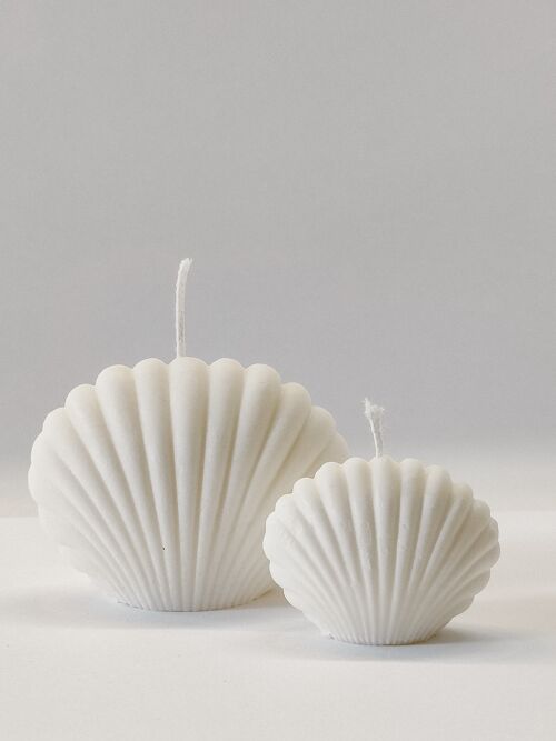 Seashell kaars