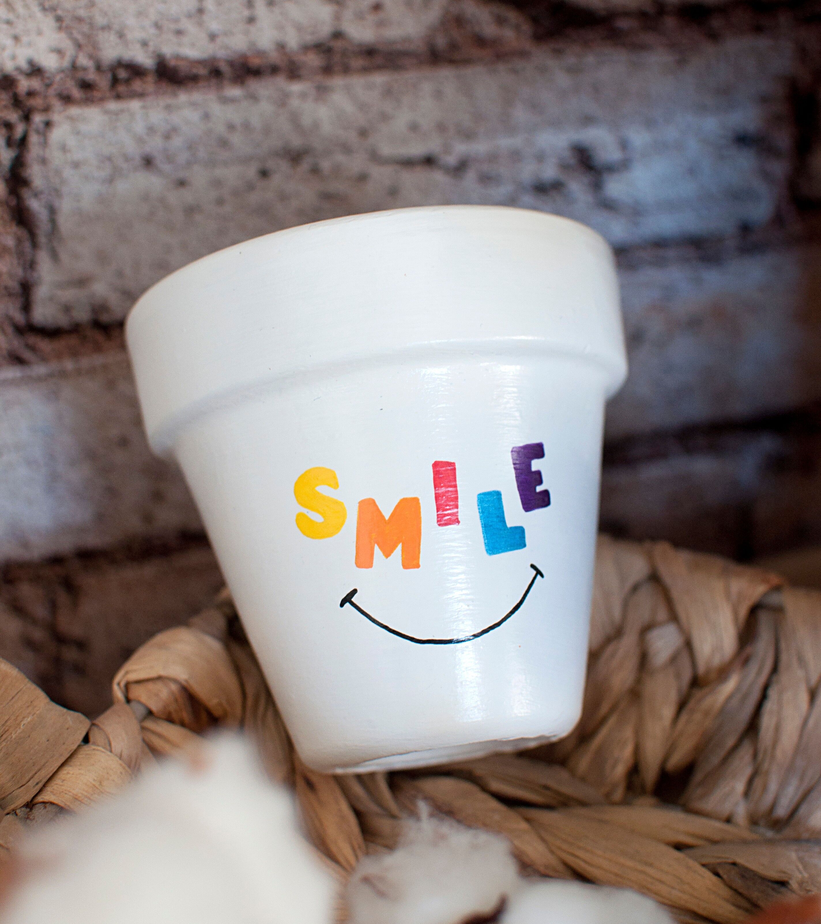 Personalized terracotta pot: "smile" / Original planter - Terracotta flower pot