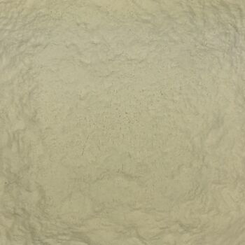 Farine de Riz Blanc Bio en Vrac - 25kg 2