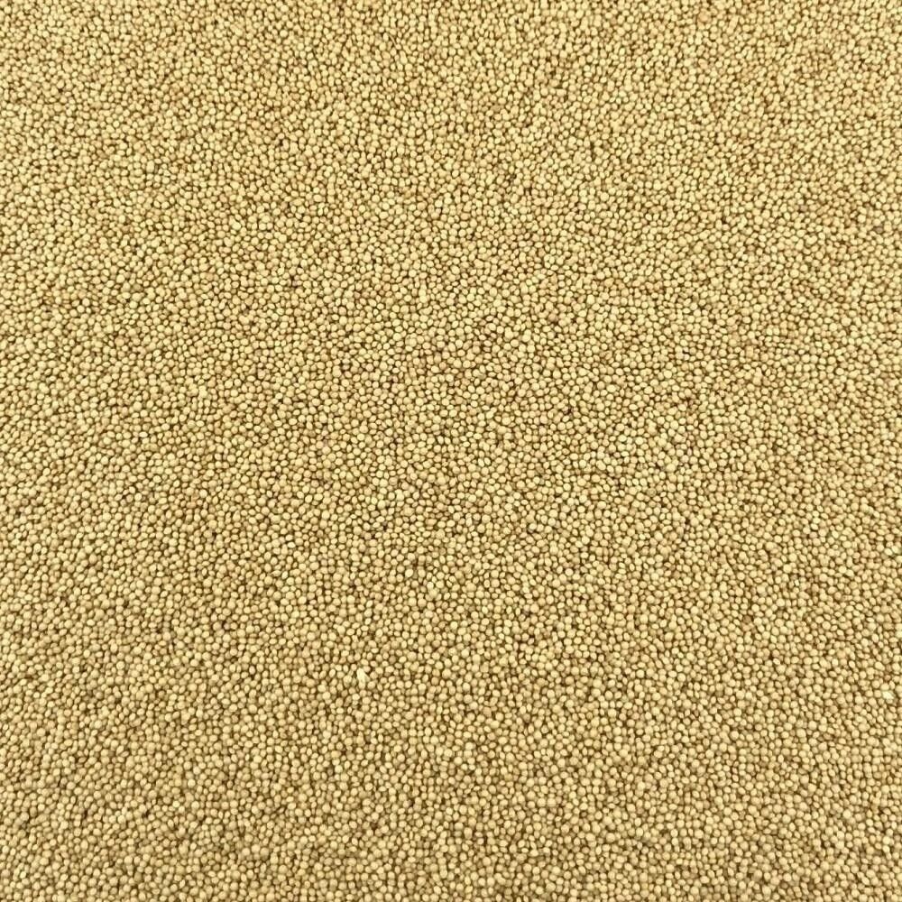 Millet Bio en Vrac - 25kg