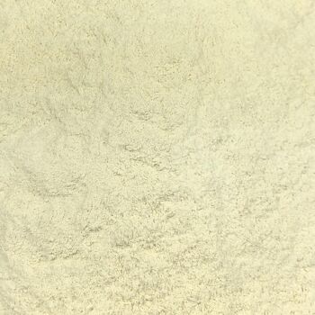 Farine de Quinoa Bio en Vrac - 500g 2