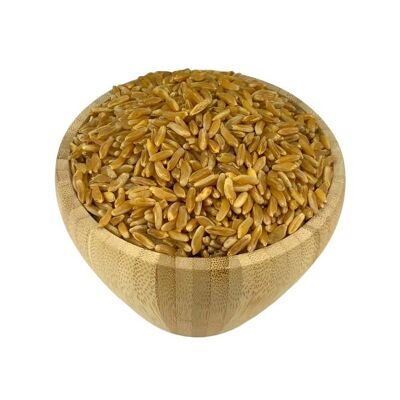 Organic Ancient Wheat in Bulk - 250g