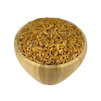 Grano Antico Biologico Sfuso - 5kg