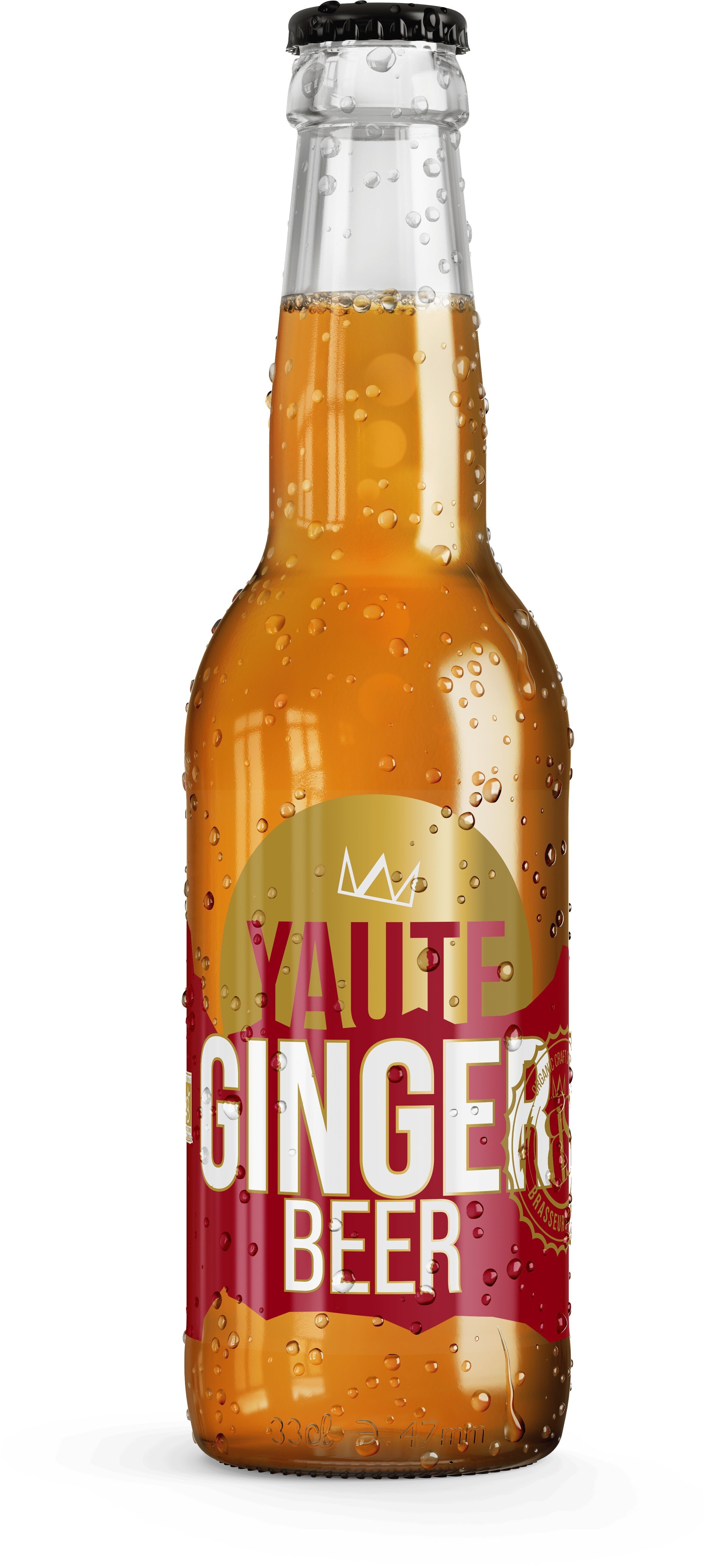 Limonata biologica allo zenzero fatta in casa - Bottiglia da 33 cl