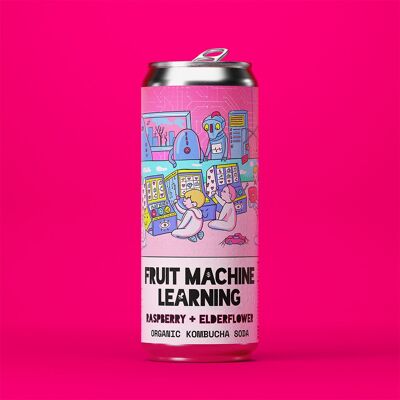 Counter Culture - Soda Kombucha Biologica al Lampone e Sambuco