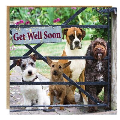 Get well soon card - greeting card - dogs on the front of this get well card