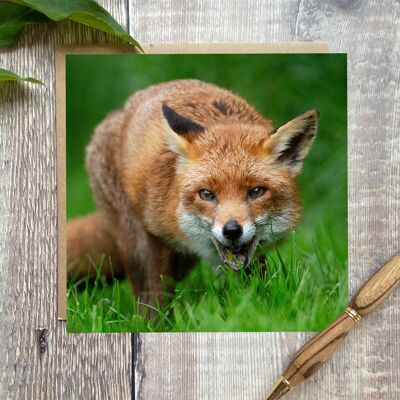 Tarjeta de felicitación de zorro: tarjeta con zorro en