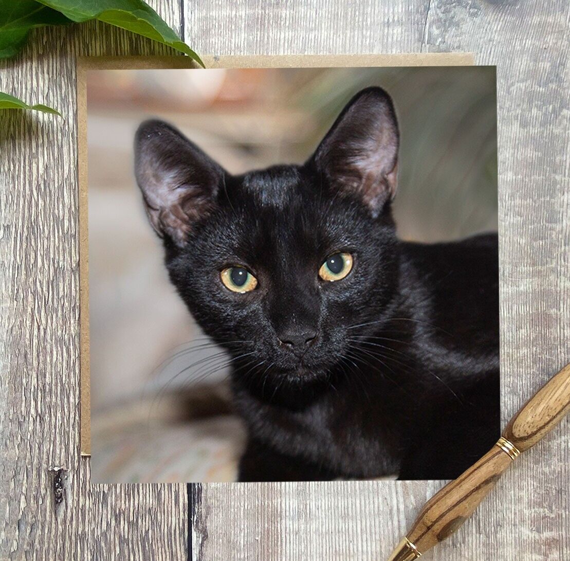 Biglietto di auguri gatto nero