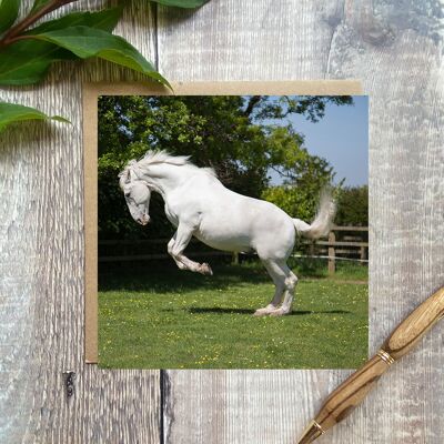 TARJETA DE CABALLO - TARJETA DE FELICITACIÓN DE CABALLO