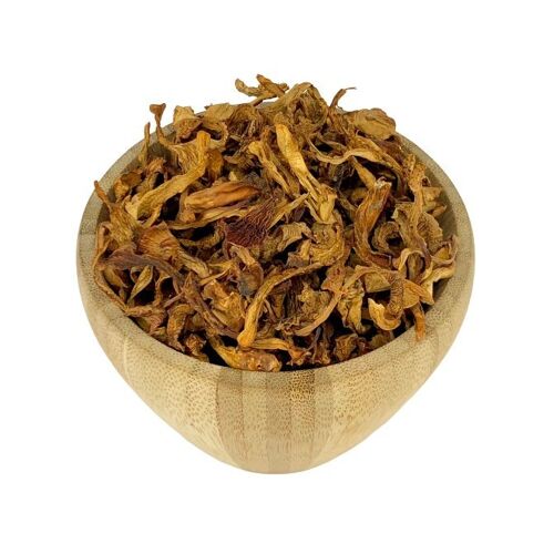 Champignon Chanterelle Bio en Vrac - 50g