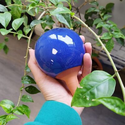 Mini Ollas Nuancées Bleu Électrique – Édition Limitée (25 cl)