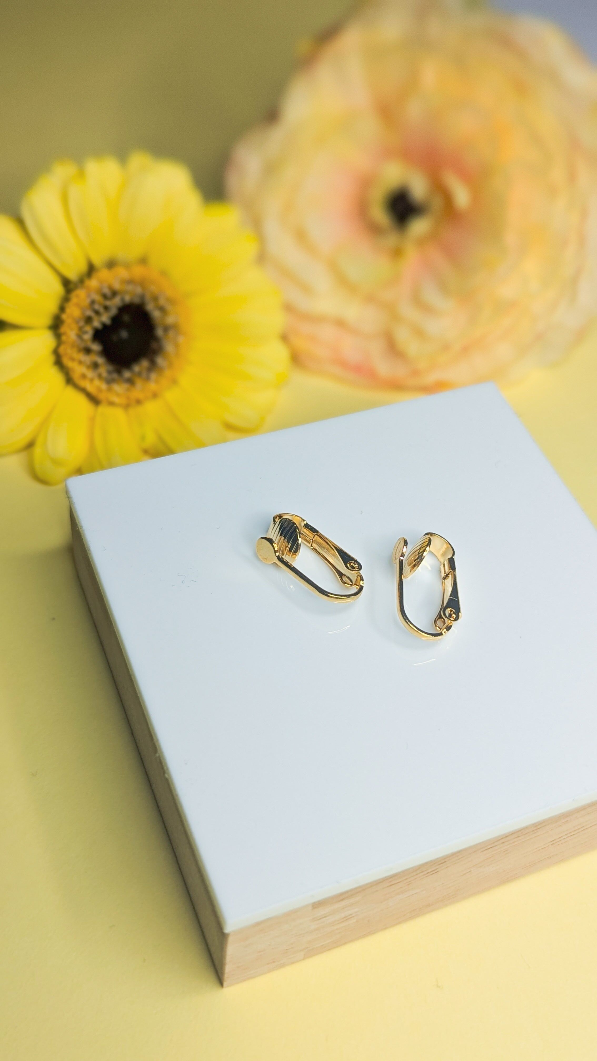 Orecchini a clip in acciaio inossidabile