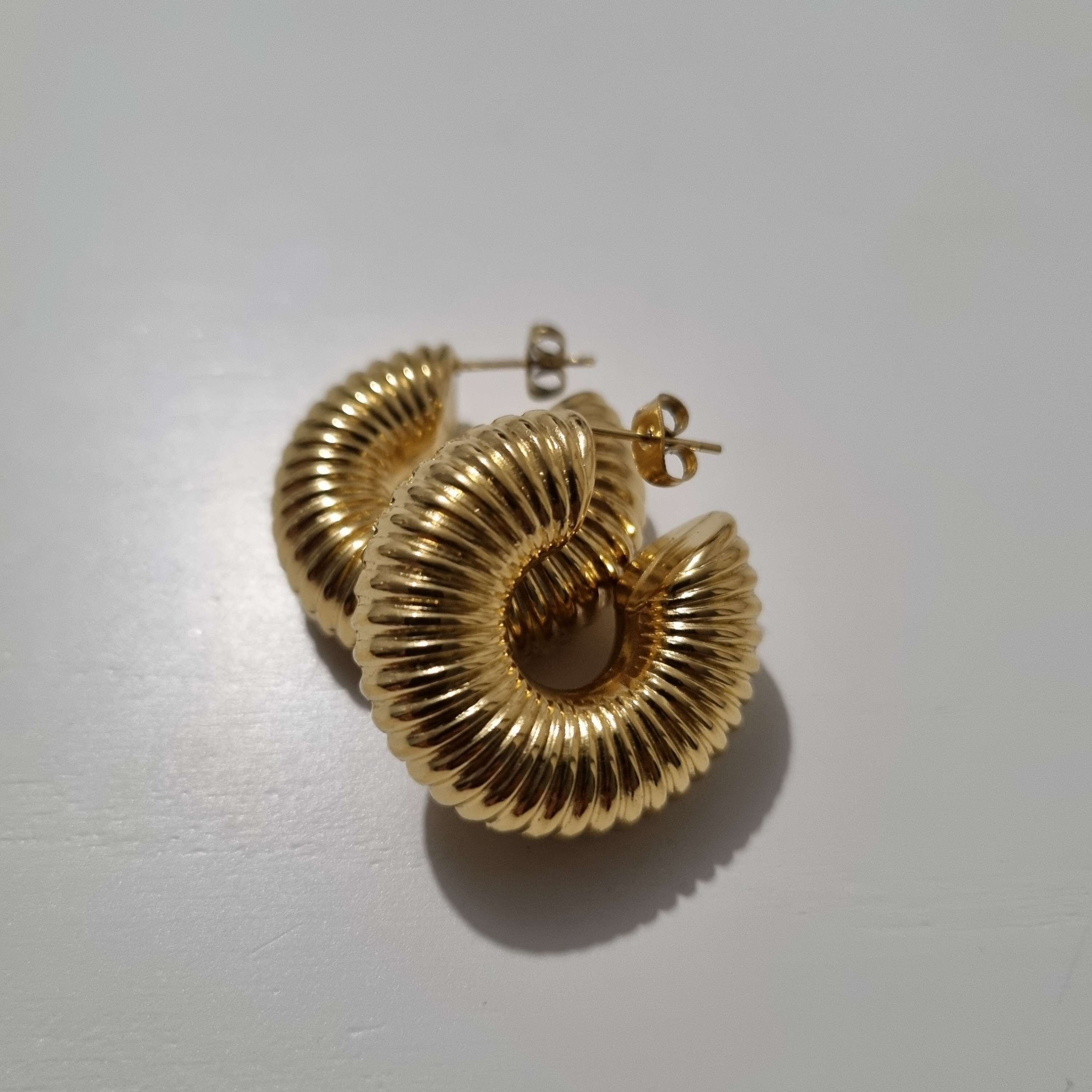 Orecchini in acciaio inossidabile anallergico impermeabile - Rama