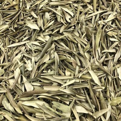 Organic Olive Leaves in Bulk - 50g