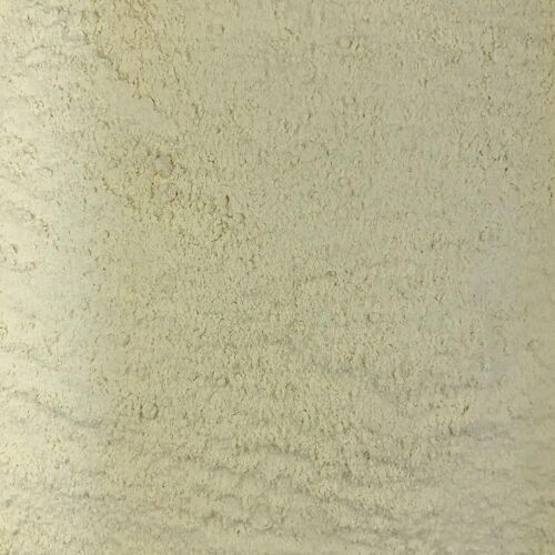 Ail en Poudre Bio en Vrac - 1kg