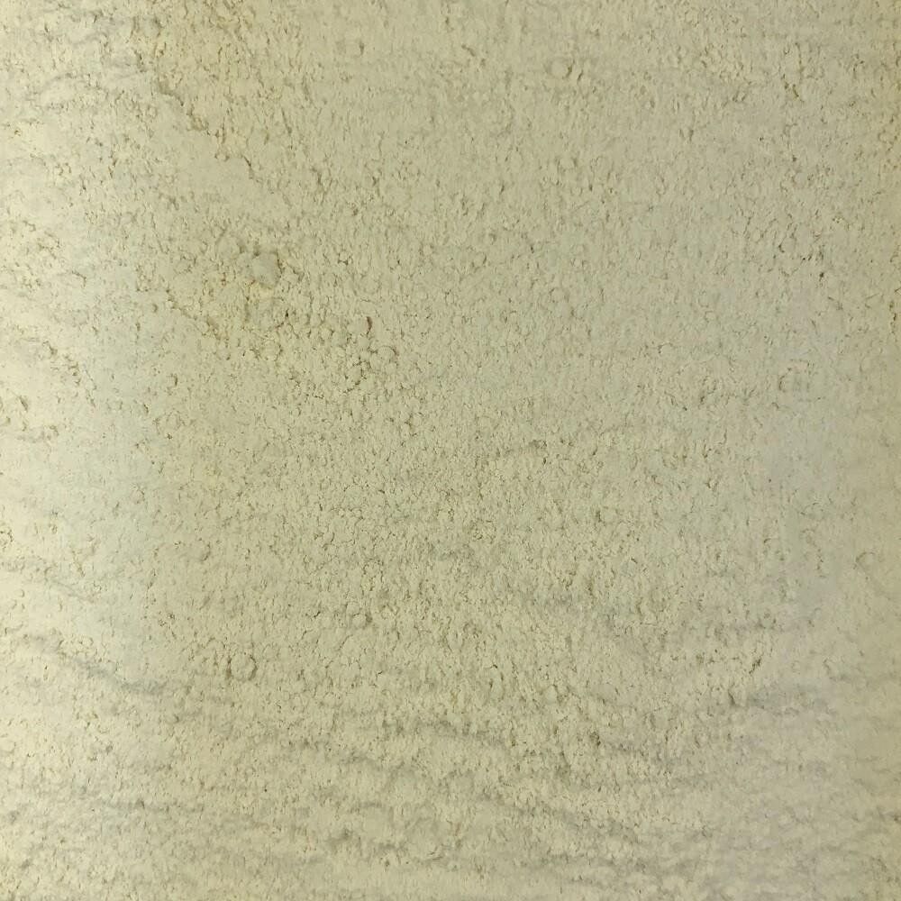 Aglio Biologico in Polvere Sfuso - 2kg