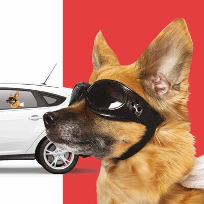 Autocollants pour vitres avec motif chien, autocollants pour voiture