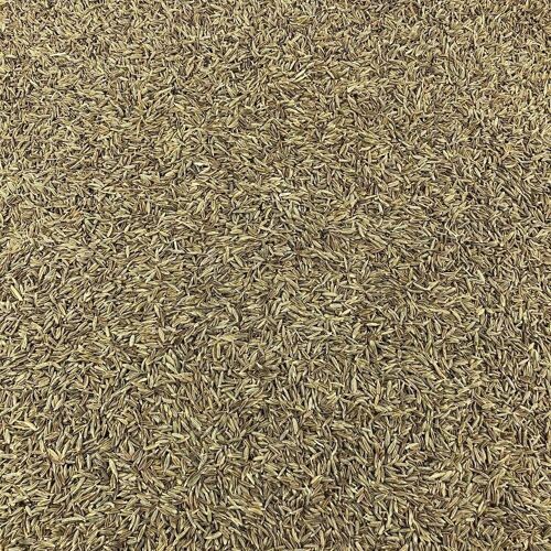 Cumin Graines Bio en Vrac - 125g