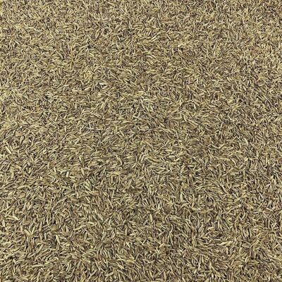 Organic Cumin Seeds in Bulk - 125g