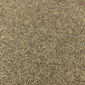 Cumin Graines Bio en Vrac - 2kg 1