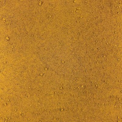 Organic Turmeric Powder in Bulk - 1kg