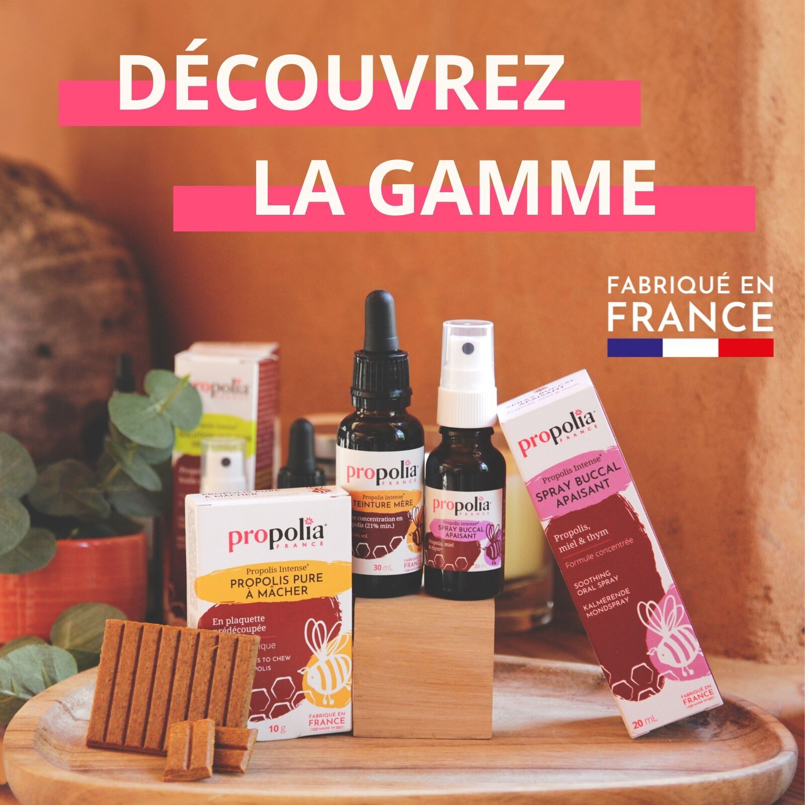 PROPOLIA - Spray propolis brune - Complément alimentaire - Immunité - Gorge & Bouche - 100% naturel - Fabriqué en France - 20 ml