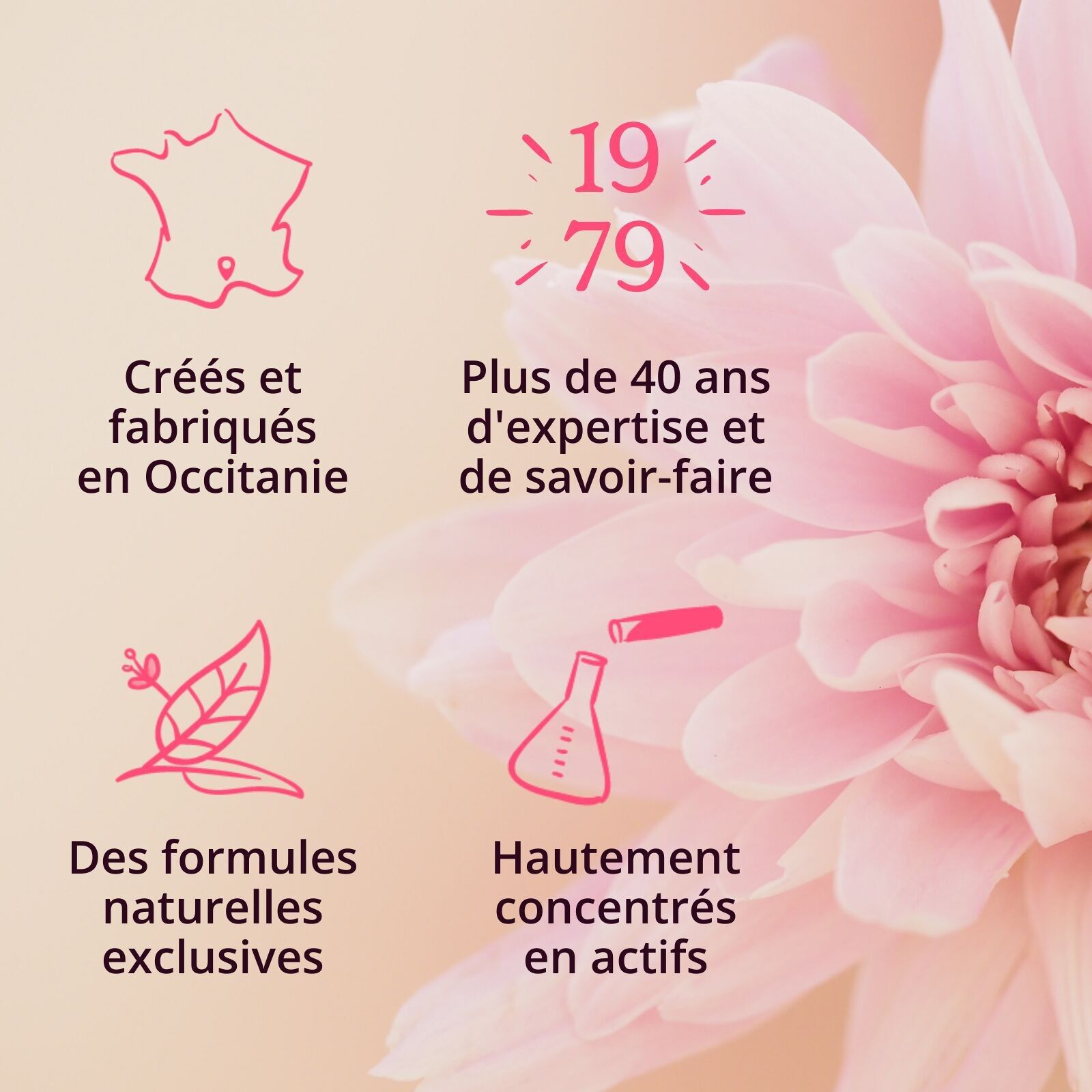 PROPOLIA - Spray propolis brune - Complément alimentaire - Immunité - Gorge & Bouche - 100% naturel - Fabriqué en France - 20 ml
