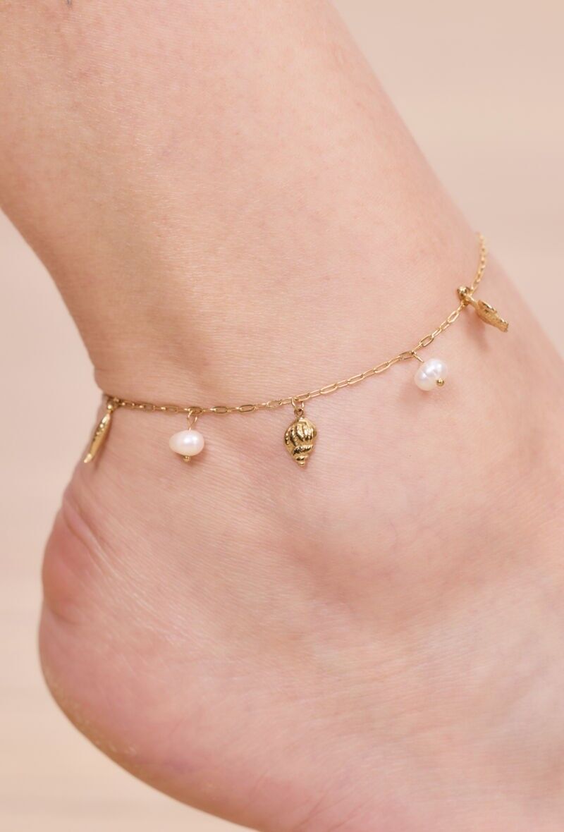 Catena per piede in acciaio inossidabile 624AQ10