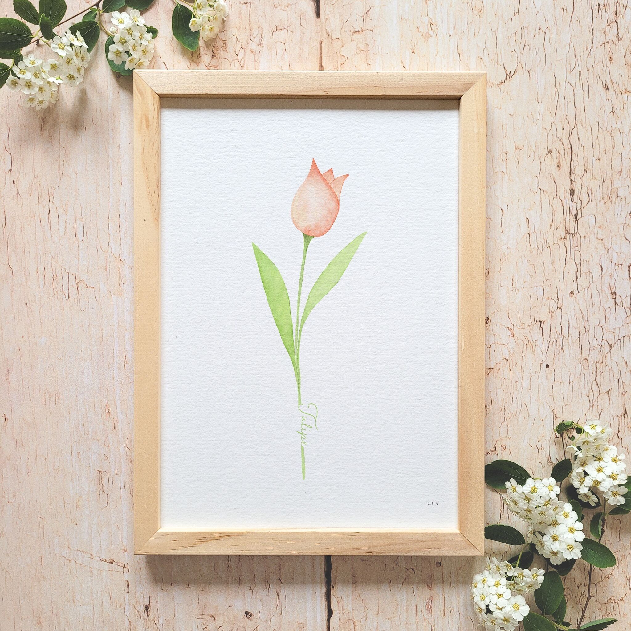 Manifesto floreale ad acquerello · "Il tulipano"