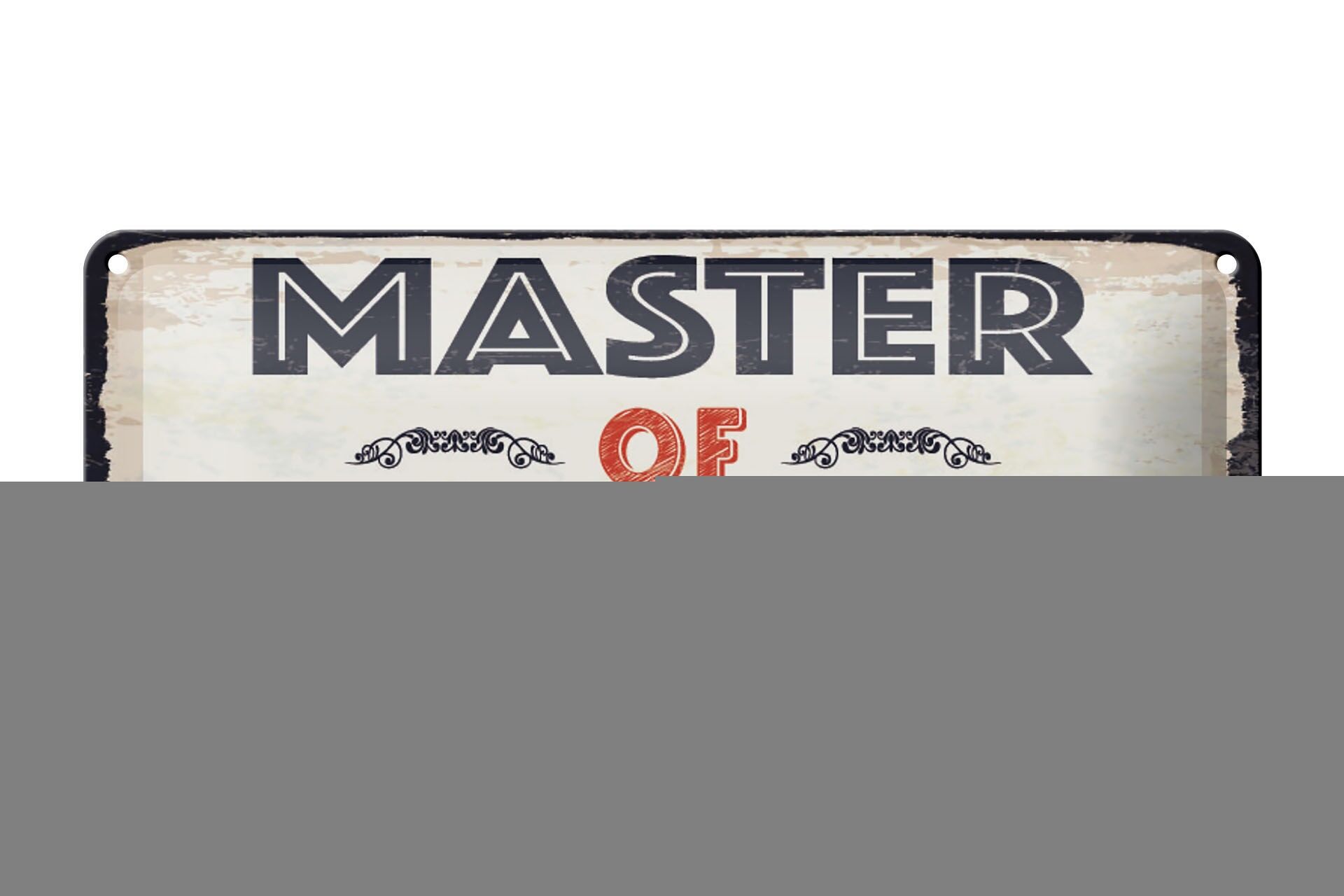 Blechschild Spruch 27x10 cm Master of disaster Schild