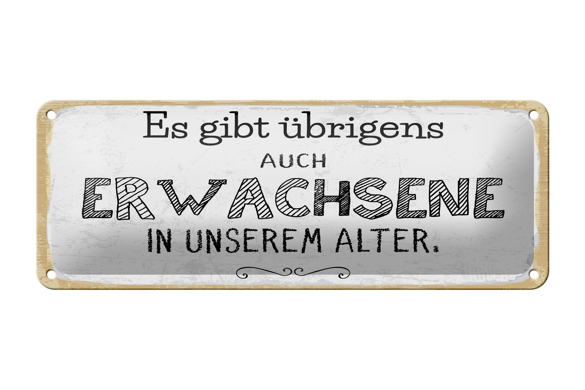 Blechschild Spruch 27x10 cm Es gibt übrigens auch Erwachsene in unserem Alter