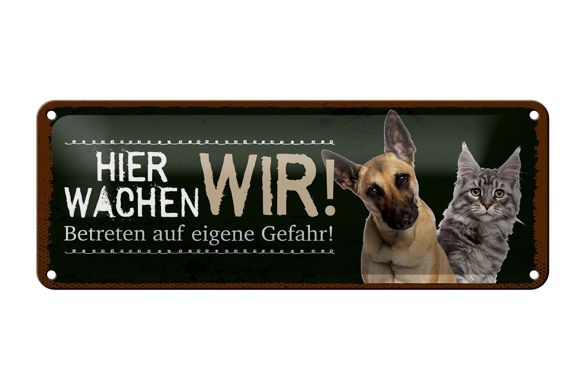 Letrero decorativo en hojalata de 27 x 10 cm con texto "Aquí observamos al perro y al gato", color verde.