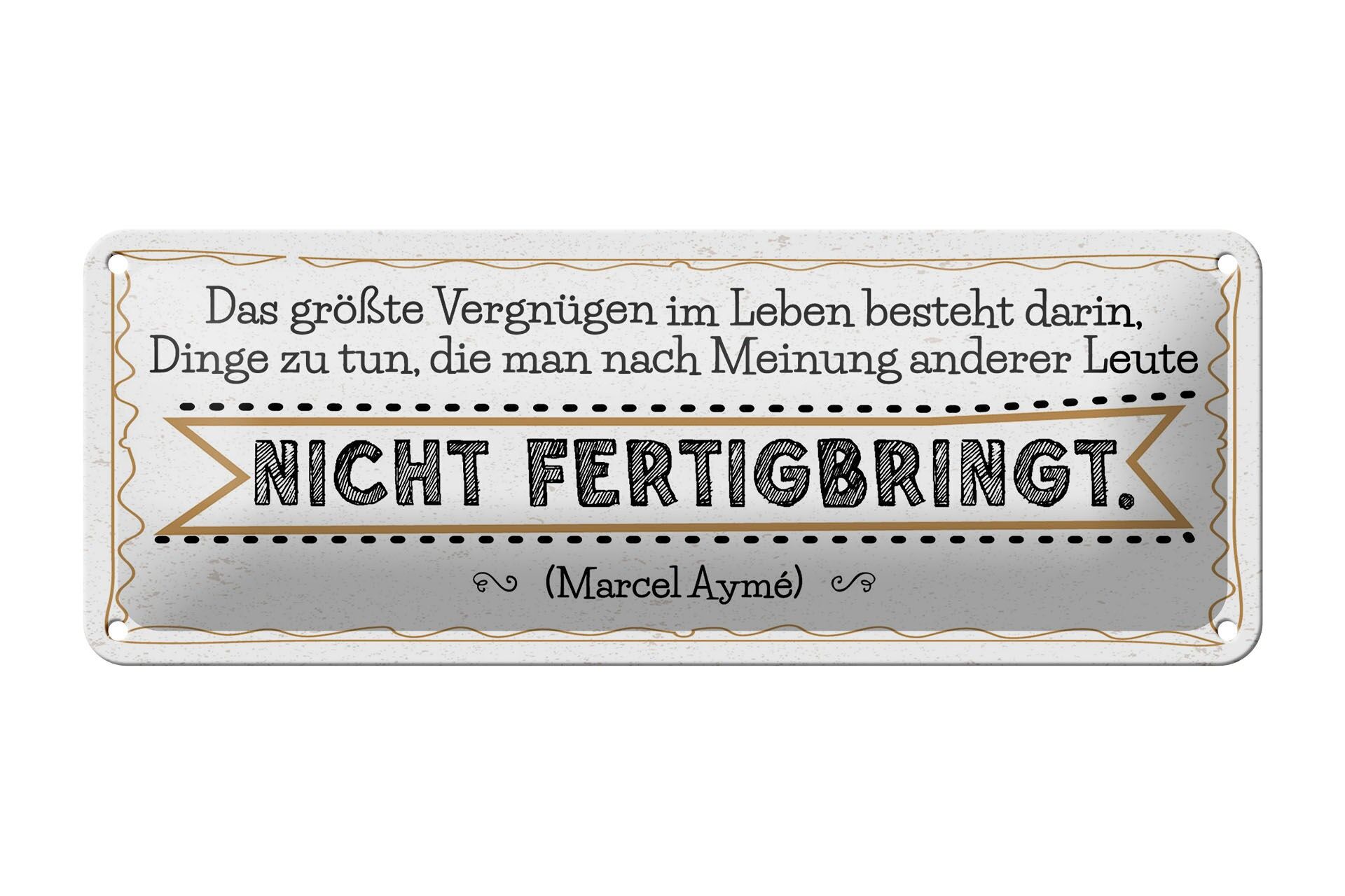 Blechschild Spruch 27x10 cm Vergnügen Dinge zu tun, die nach Meinung anderer