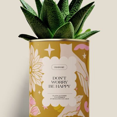 NO TE PREOCUPES, SÉ FELIZ - Aloe / Cactus - MINI