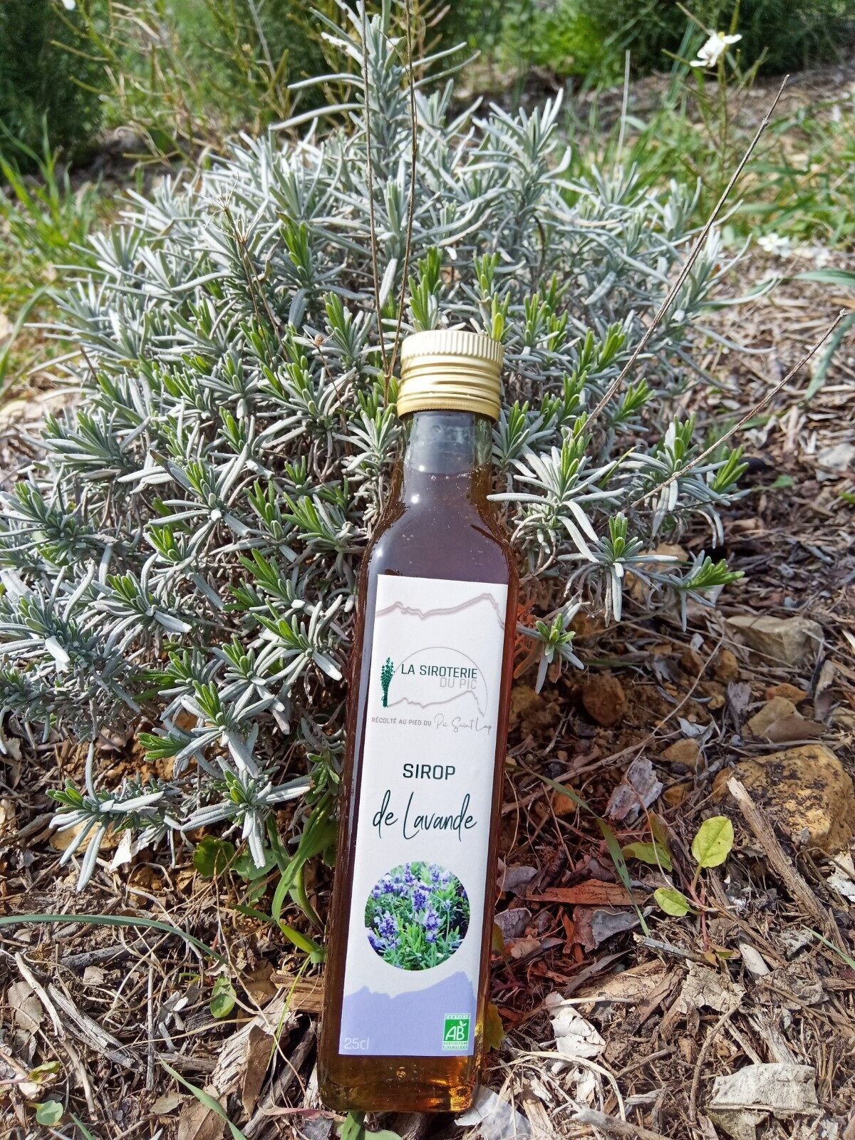 Sciroppo di lavanda biologico 25cl
