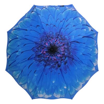 Parapluie pliable à motif floral StormKing, motif marguerite bleue