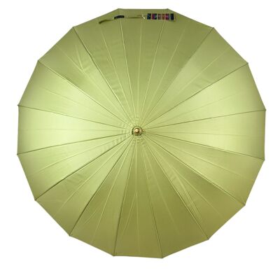 Changement de couleur classique quotidien Vert avocat