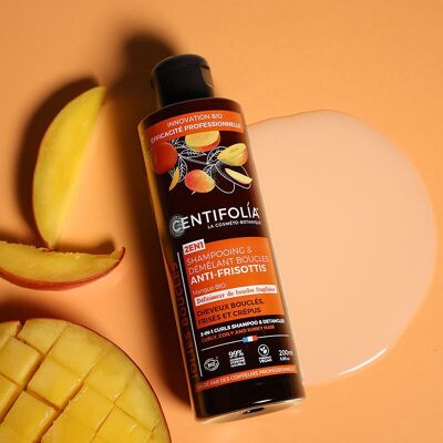 Champú y acondicionador orgánico 2 en 1 antifrizz para rizos